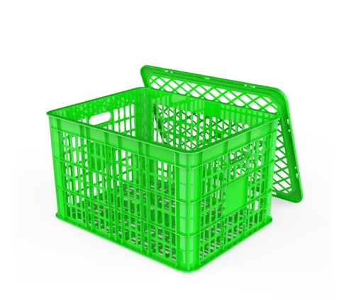 song-trai-cay-3t1-co-nap