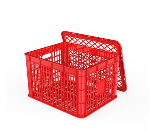 song-trai-cay-2t8-co-nap